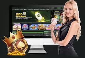 winace99 Pasaran UFC MMA yang kami susun